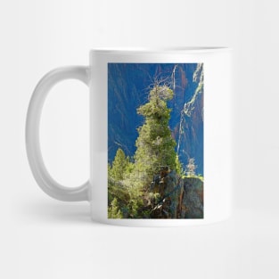 Black Canyon Tree Mug